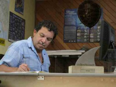 Shark Fin Soup: It’s Beyond Tasteless Image